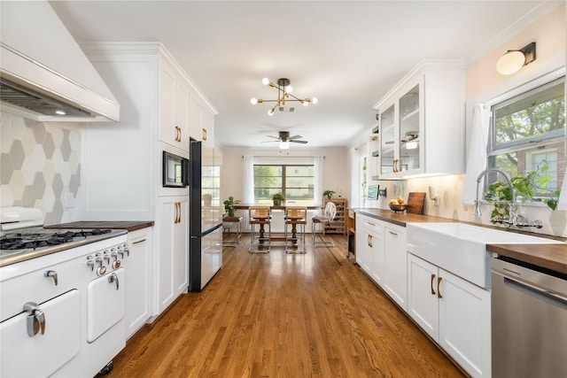 kitchen featuring exhaust hood, stainless steel appliances, white cabinets, and a wealth of natural light