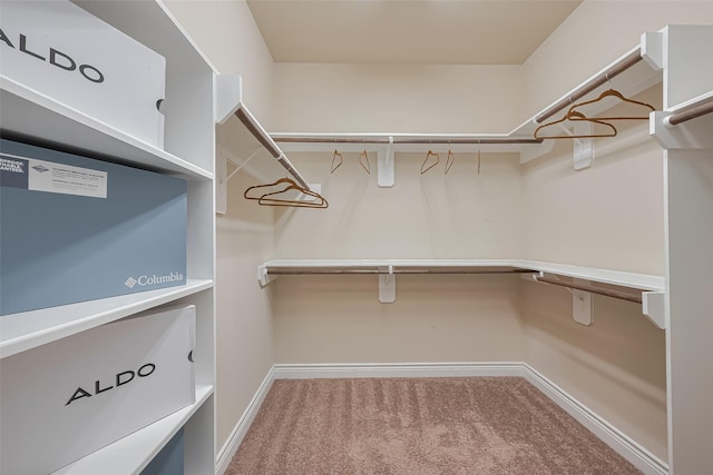 spacious closet featuring carpet flooring