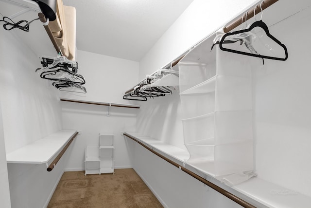 spacious closet with light colored carpet