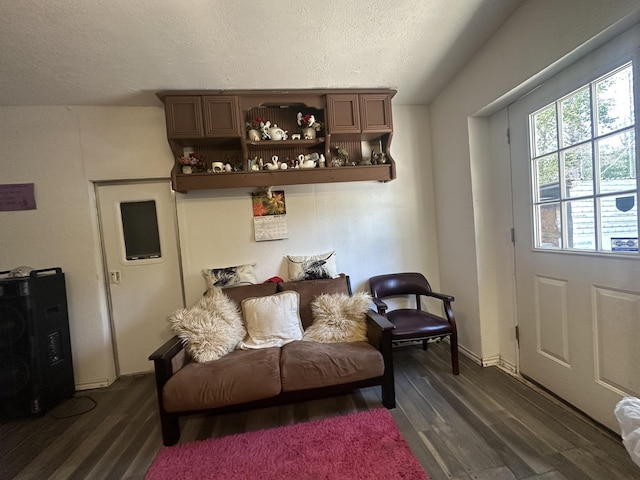 living room featuring dark wood-style floors and a textured ceiling