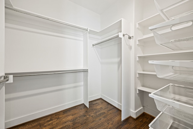 walk in closet featuring dark wood-style floors