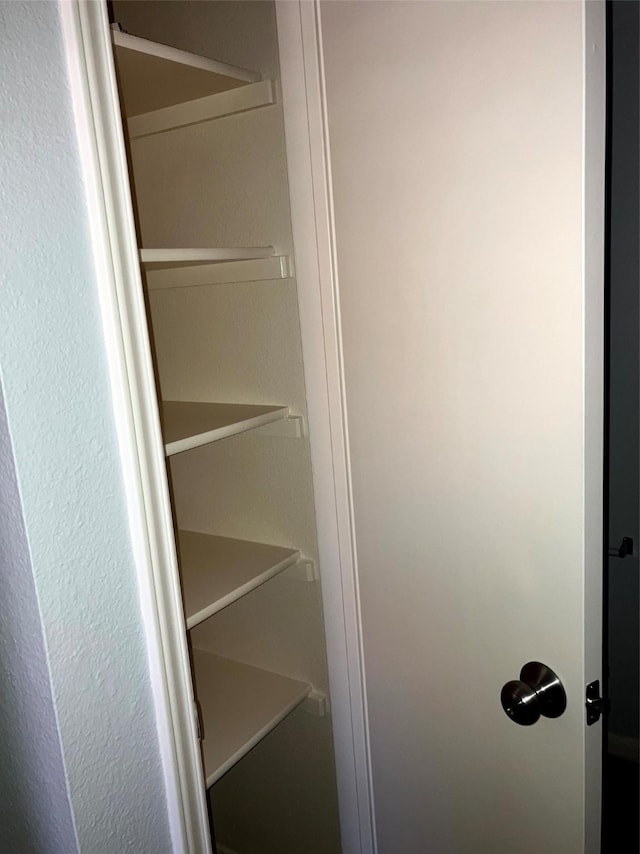 193 Oak River Dr, Cedar Creek, TX 78612 - view of closet