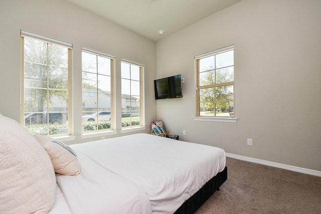 11115 Elderflower Dr, Missouri City, TX 77459 - carpeted bedroom featuring multiple windows and baseboards