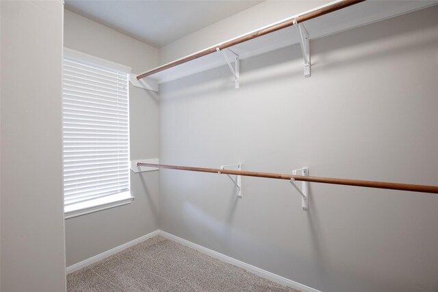 spacious closet with carpet