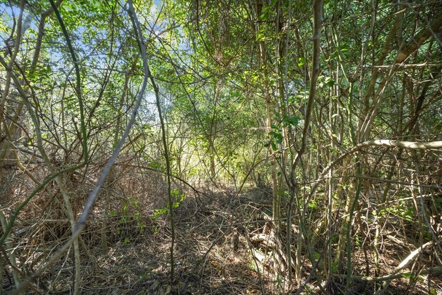 TBD Hampton Wood Dr, Tomball, TX 77377