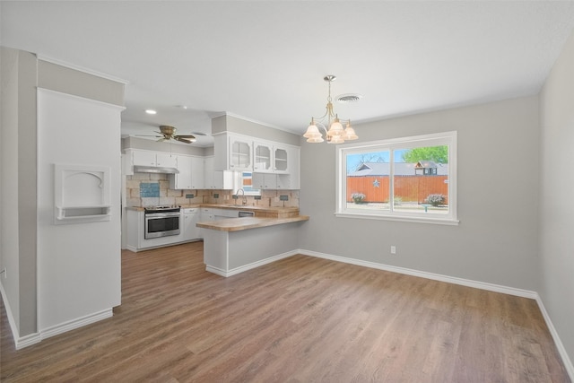 kitchen featuring tasteful backsplash, stainless steel electric range, under cabinet range hood, a sink, and a peninsula