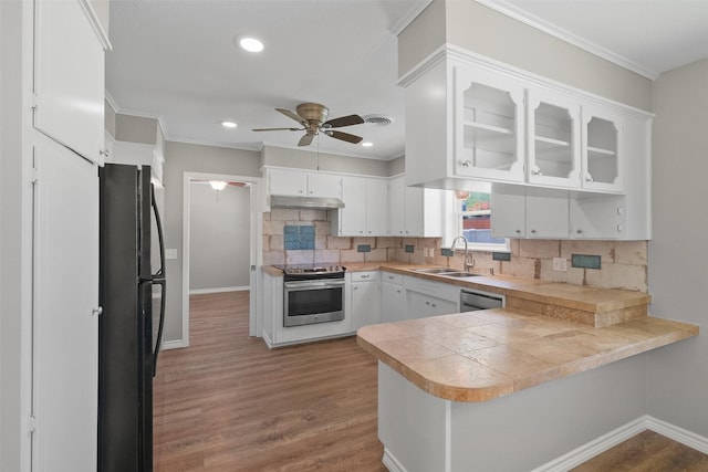 kitchen featuring a sink, appliances with stainless steel finishes, a peninsula, under cabinet range hood, and ceiling fan