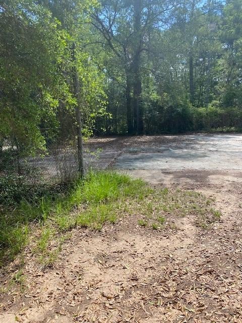 1372 Apache Dr, Montgomery, TX 77316 - view of street with a wooded view