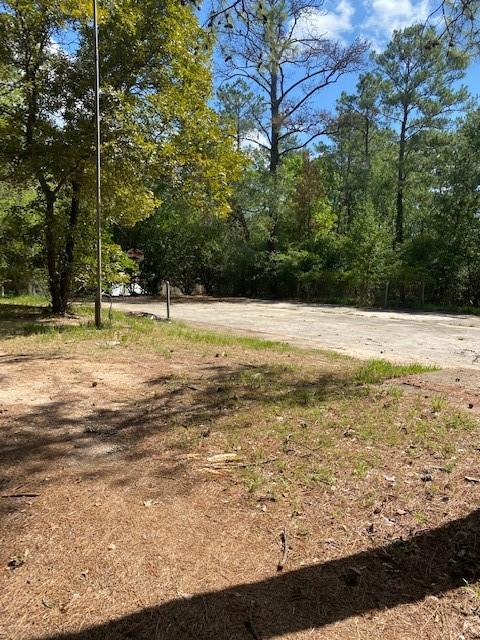 1372 Apache Dr, Montgomery, TX 77316 - view of yard
