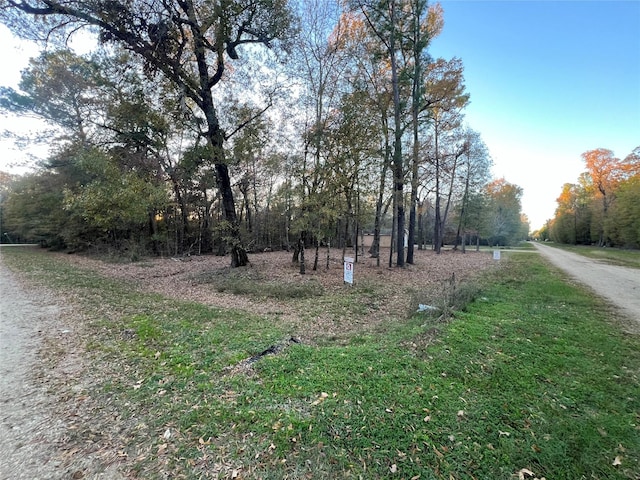 0 Mossy Dr, Livingston, TX 77351 - photo 1