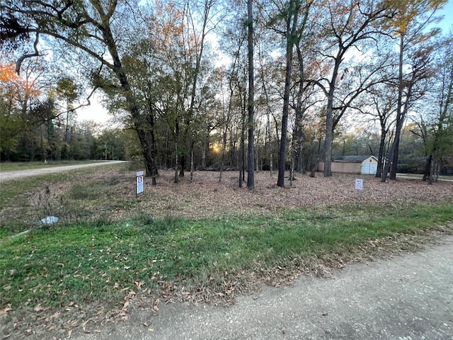 0 Mossy Dr, Livingston, TX 77351 - photo 4