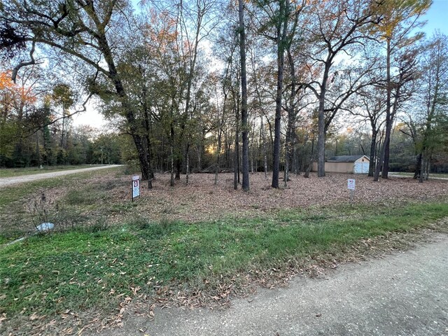 0 Mossy Dr, Livingston, TX 77351 - photo 5