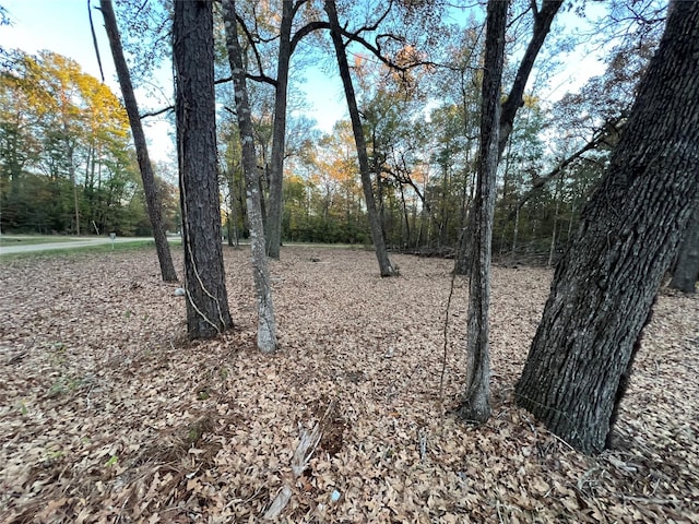 0 Mossy Dr, Livingston, TX 77351 - photo 8