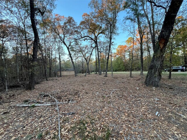 0 Mossy Dr, Livingston, TX 77351 - photo 12