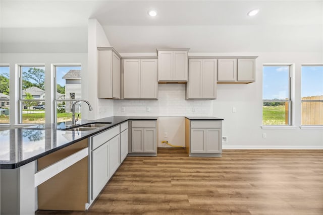 kitchen featuring a sink, gray cabinetry, recessed lighting, wood finished floors, and backsplash