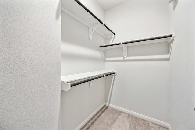 walk in closet with light colored carpet