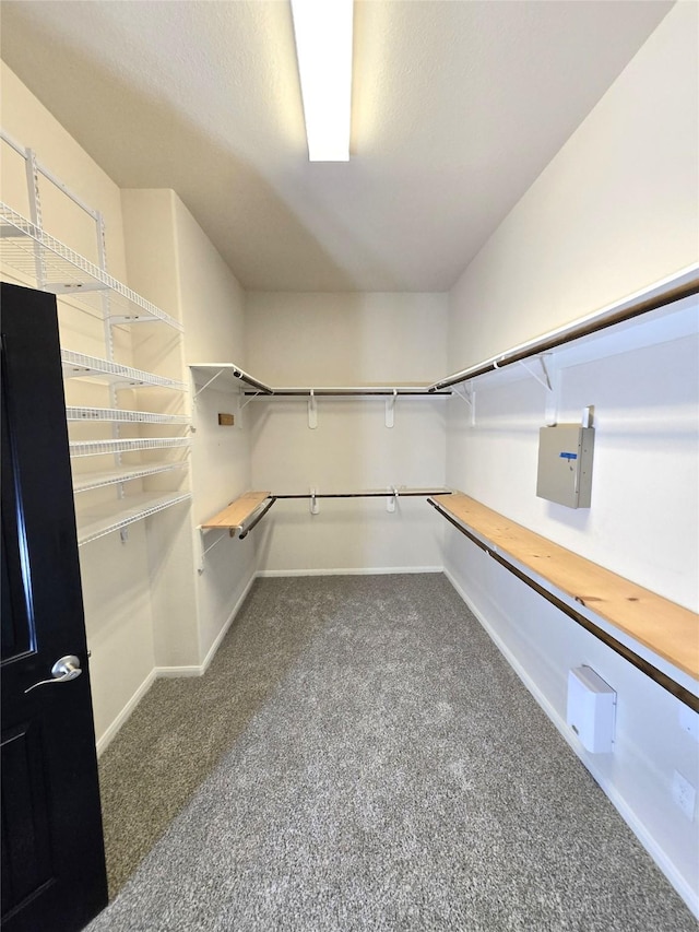 4321 Juniper Ln, Deer Park, TX 77536 - spacious closet with carpet flooring and electric panel