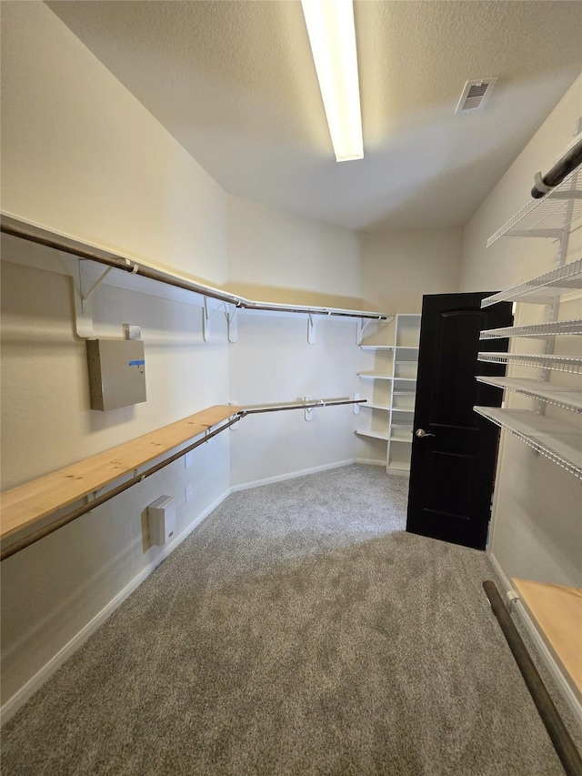 4321 Juniper Ln, Deer Park, TX 77536 - spacious closet with carpet flooring