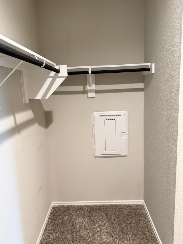 walk in closet featuring carpet flooring