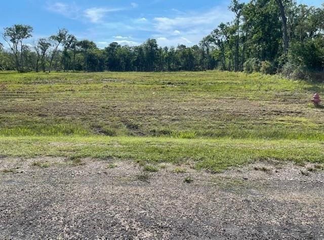 33418 Blue Marlin Dr, Richwood, TX 77515