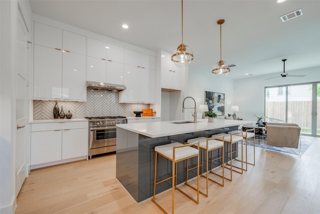 2113 Huldy St, Houston, TX 77019 - kitchen with high end stainless steel range oven, range hood, modern cabinets, light wood-type flooring, and a sink