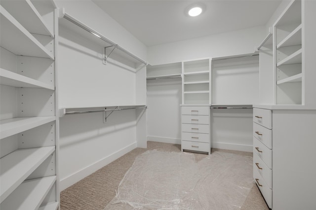 2113 Huldy St, Houston, TX 77019 - walk in closet featuring light colored carpet