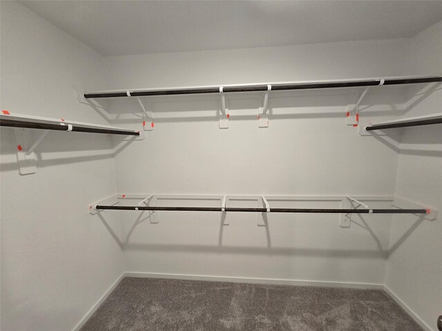 1618 Winwood Dr, Conroe, TX 77303 - spacious closet with carpet flooring