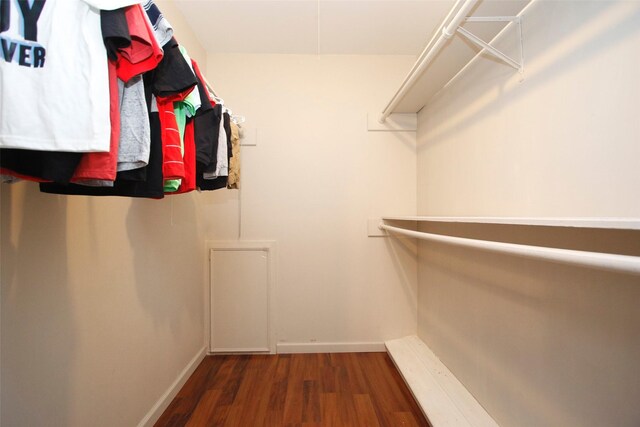spacious closet featuring wood finished floors