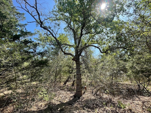 LOT3 County Road 14, Hallettsville, TX 77964