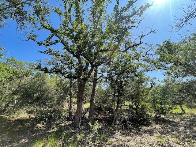 LOT3 County Road 14, Hallettsville, TX 77964