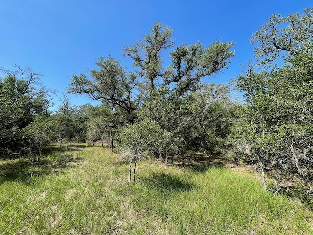 LOT3 County Road 14, Hallettsville, TX 77964