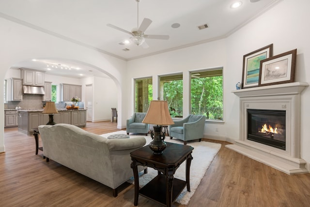 114 Pacific Grove Dr, Montgomery, TX 77316 - living area with visible vents, baseboards, ceiling fan, light wood-type flooring, and arched walkways