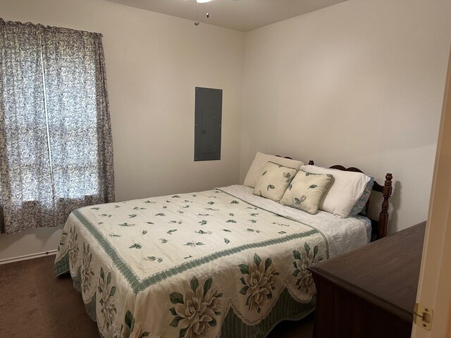 833 E Camp St, La Grange, TX 78945 - bedroom featuring electric panel and dark colored carpet