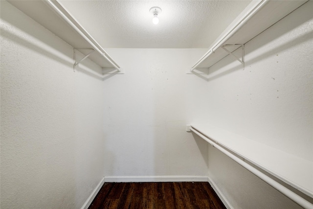 walk in closet featuring dark wood-style flooring