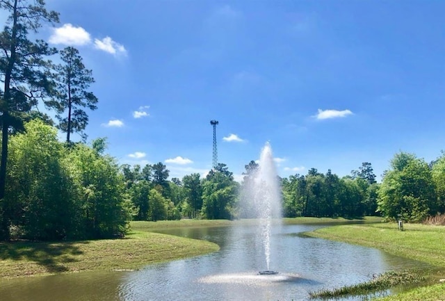 3311 Passage Ln, Conroe, TX 77301 - water view