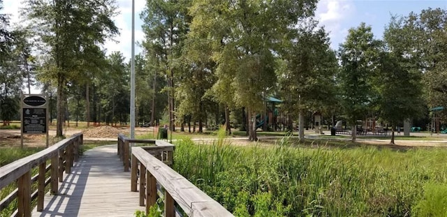 3311 Passage Ln, Conroe, TX 77301 - view of surrounding community