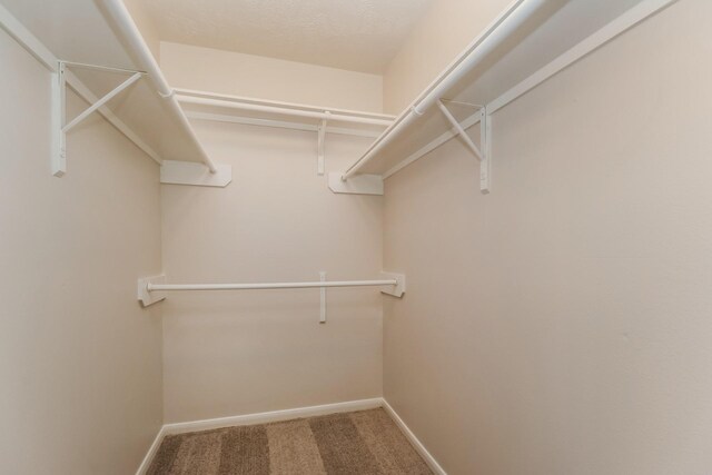 walk in closet featuring carpet flooring