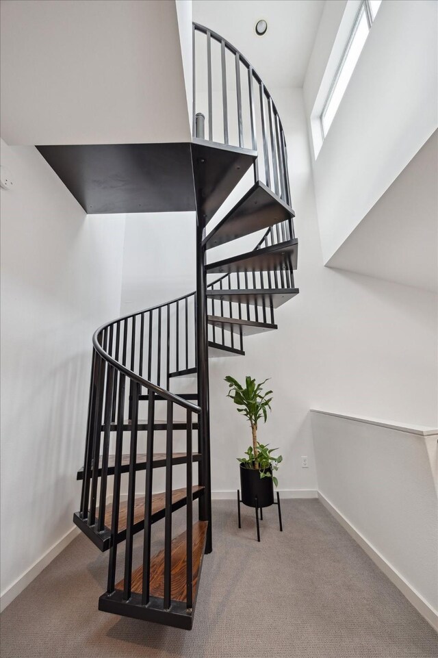 2976 Commerce St, Houston, TX 77003 - stairs featuring carpet floors and baseboards