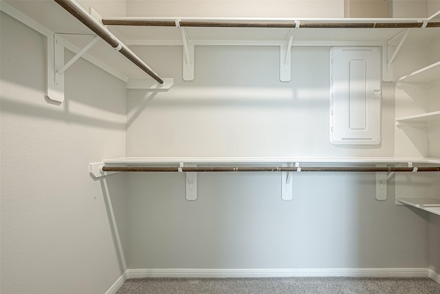 spacious closet with electric panel and carpet flooring