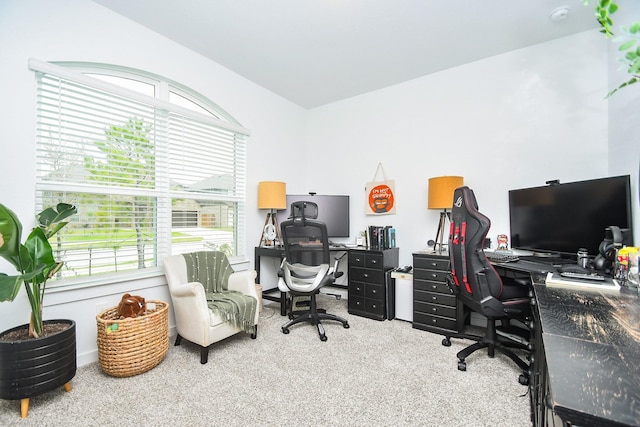 view of carpeted home office