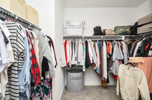 walk in closet featuring carpet flooring