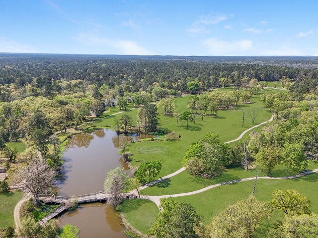 20302 Peach Dr, Huntsville, TX 77320 - view of property location with a heavily wooded area and a large body of water