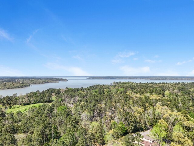 20302 Peach Dr, Huntsville, TX 77320 - water view with a forest