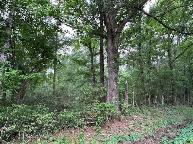 0 Bailey Grove Rd, Montgomery, TX 77356 - photo 4