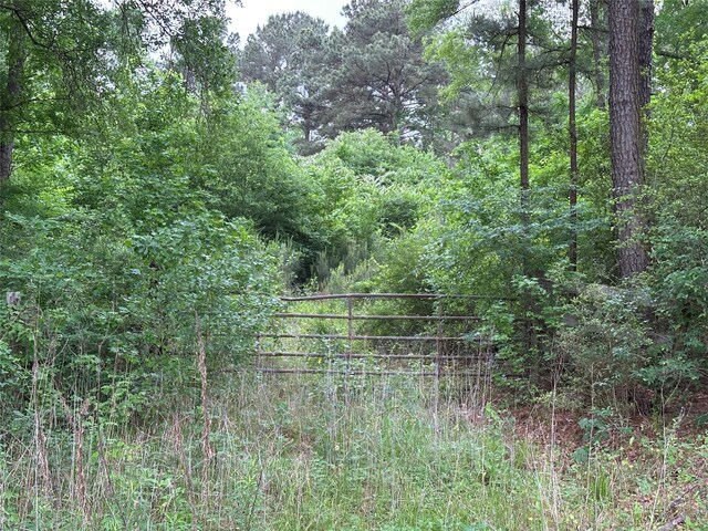0 Bailey Grove Rd, Montgomery, TX 77356 - photo 1