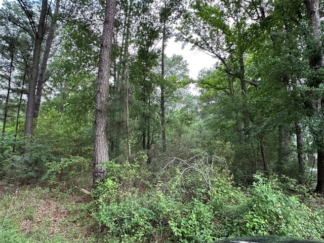 0 Bailey Grove Rd, Montgomery, TX 77356 - photo 2