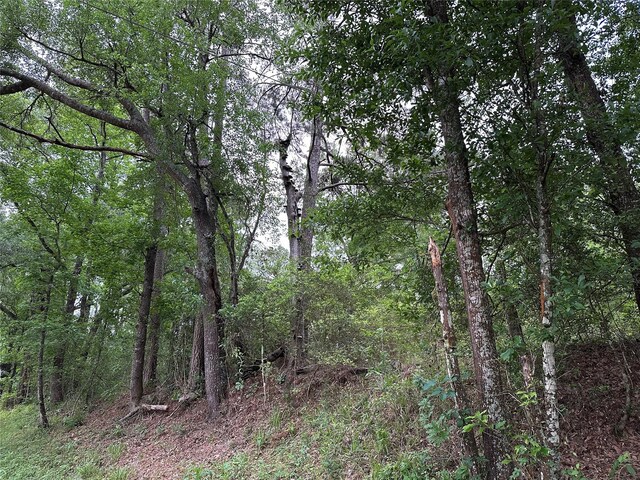 0 Bailey Grove Rd, Montgomery, TX 77356 - photo 6