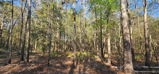 0000 Joe Allen Ext, Kountze, TX 77625
