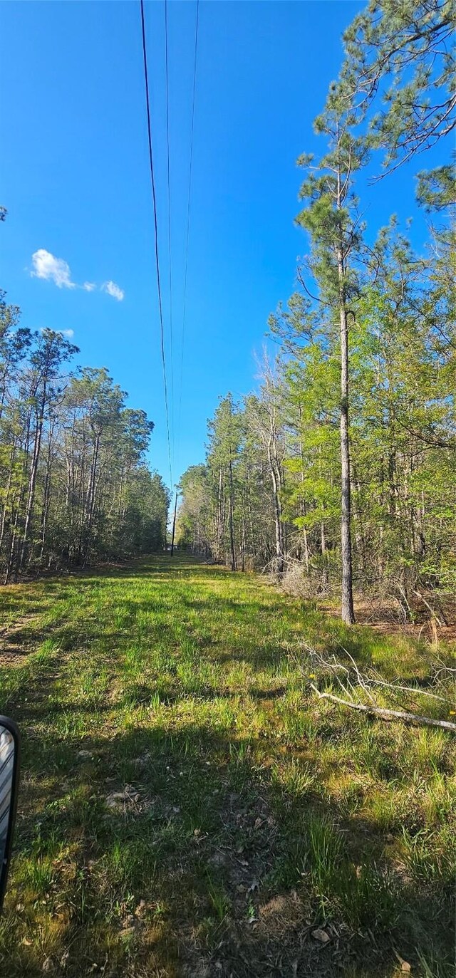 0000 Joe Allen Ext, Kountze, TX 77625