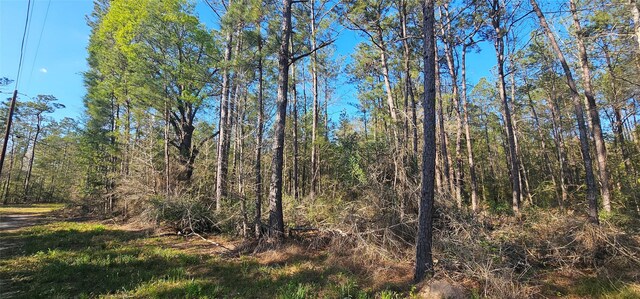 0000 Joe Allen Ext, Kountze, TX 77625